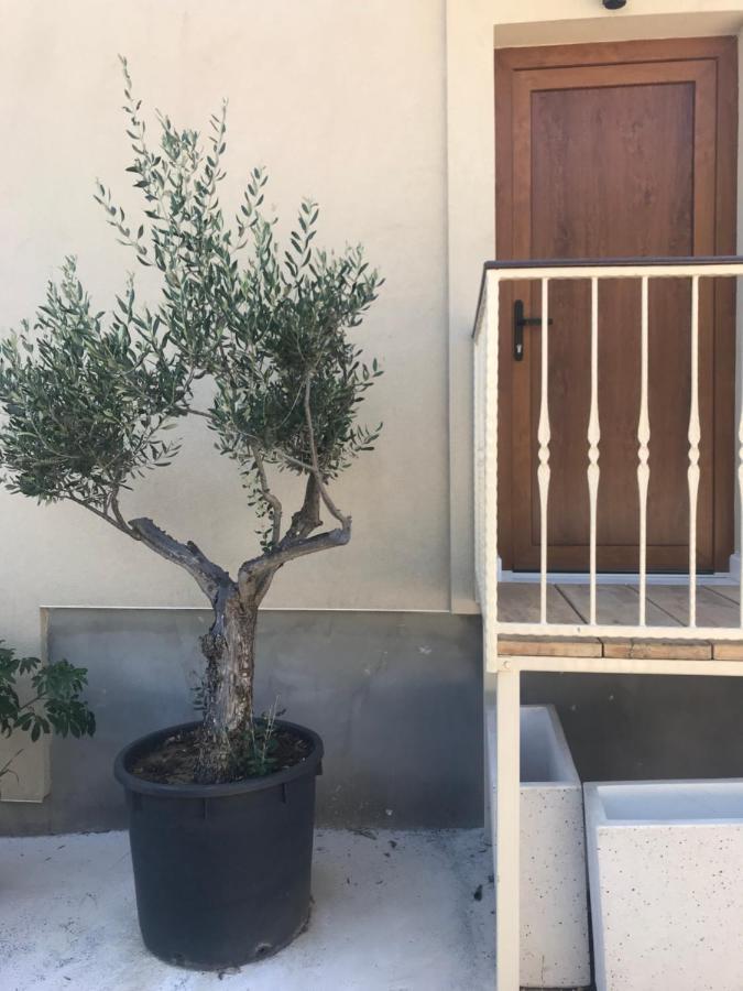 Apartament Novem Zadar Zewnętrze zdjęcie